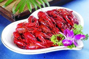 虾和小乳瓜能同时吃吗,健康搭配，美味共享