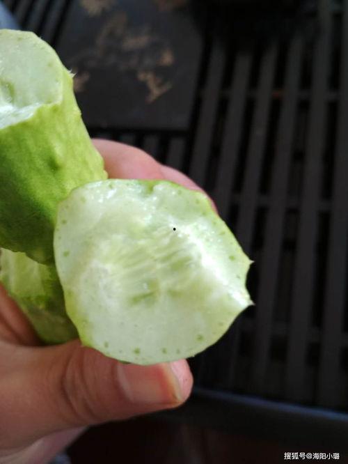 白玉瓜做什么吃,创意烹饪食谱集锦