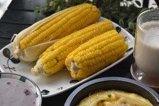 哈密瓜可以早上吃,开启一天健康美味的早晨