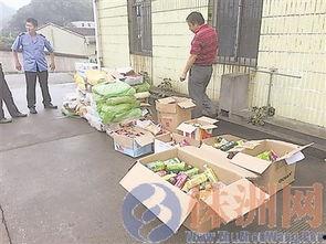 株洲校园吃瓜事件,一场校园风波的真相揭秘