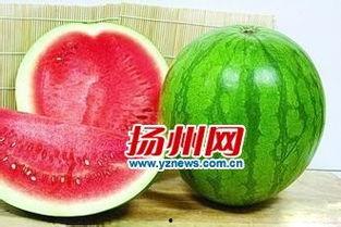 黑色高瓜怎么吃最好