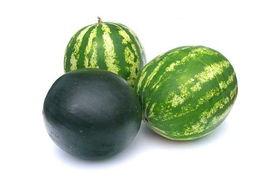 武威吃瓜事件,一场网络舆论的风暴与反思