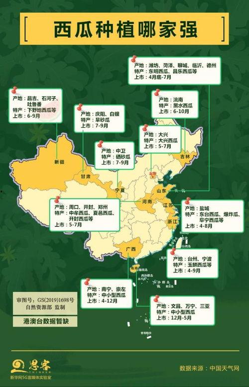 全国吃瓜大省,揭秘瓜香四溢的美食天堂