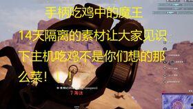 吃鸡呆瓜名片,揭秘游戏界的搞笑达人