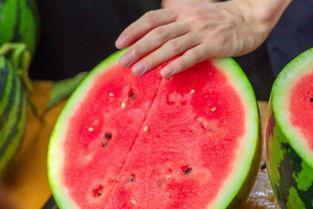 河北沧州学校吃瓜