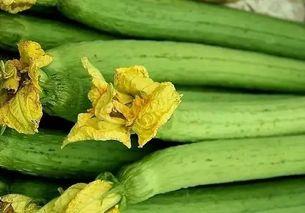 吃瓜组织的另一种叫法,探寻网络流行语的演变轨迹