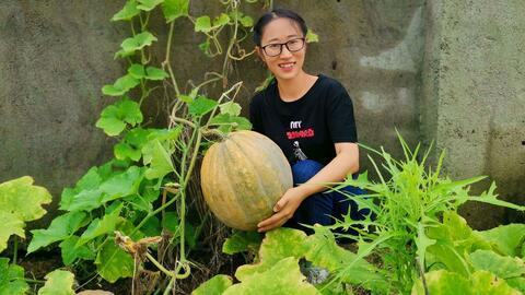 农村版儿童吃瓜