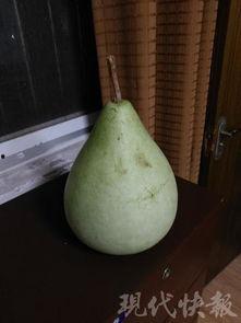 盐城吃瓜合集,吃瓜合集里的风味人生