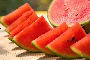 在瓜地里吃瓜音乐