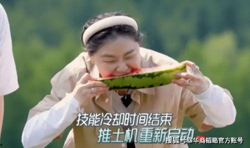 吃瓜还得靠自己,品味人生百态