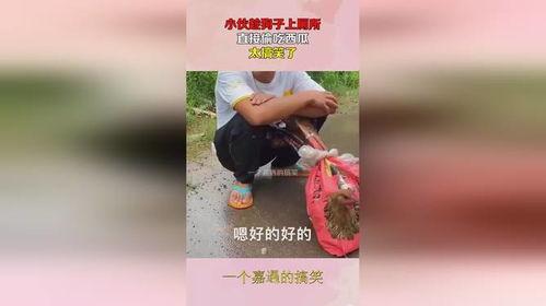 卖狗小伙吃瓜,瓜田李下，人生百态