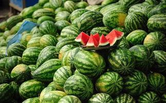 背着锅吃瓜,揭秘背着锅吃瓜的独特风情