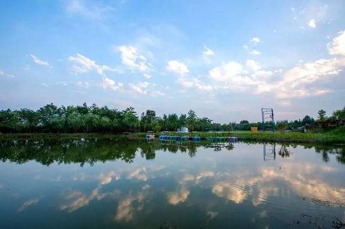 吃瓜水榭的意思,网络热词背后的文化现象