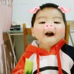 动画小猪吃瓜视频
