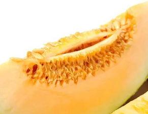 有蛀牙可以吃蜜瓜吗,蛀牙患者能否安心享用？