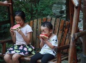 河南姐弟吃瓜视频,揭秘背后真相与网友热议