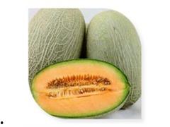 吃哈密瓜粉,甜蜜诱惑，健康生活新选择