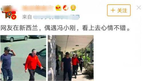 吃瓜冯路人